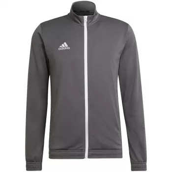 adidas Entrada 22 treenitakki harmaa 2XL H57522