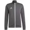 adidas Entrada 22 harjoitustakki harmaa H57522 L