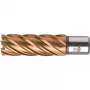 BDS HSS VarioPLUS 20 mm porakruunu, 55 mm leikkaussyvyys, Weldon 19 varsi (KBL-VP020)