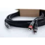 Cordial 14856 3,5 mm jakki - 2x RCA -audio Y-adapterikaapeli, 3 m, musta PVC, kaksoiskaapeli