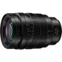 Panasonic Leica DG Vario-Summilux 10-25mm f/1.7 ASPH objektiivi Micro Four Thirds -kameroille H-X1025E