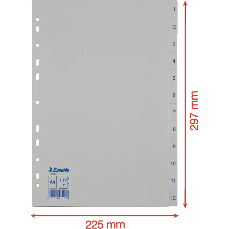 LEITZ Esselte muovirekisteri, numeroitu 1-12, A4, valkoinen, yleisreijitys, 10 sarjaa (100153)