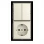 BUSCH-JAEGER kaksinkertainen vaihtokytkinosa 2601/5/20 EAPBJ-522 (2TKA00005539)