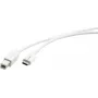 Kramer Electronics C-USB/CB-6 USB 2.0 -kaapeli, USB-C -uros USB-B -uros, 1,8 m, valkoinen 96-02357106