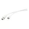 Kramer C-USB/CB-10 USB 2.0 -kaapeli, USB-C - USB-B, 3 m, valkoinen 96-02357110