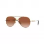 Burberry BE3147-110913 naisten cat-eye-aurinkolasit, vaaleankultaiset kehykset, ruskeat gradient-linssit, 58mm