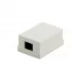 DSIT DS-Wall-Out-UTP5-I pinta-asennettava Cat5e UTP RJ45 liitäntärasia norsunluu
