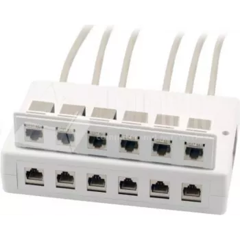 Wirewin 2x 6-porttinen pinta-asennettava kojerasia Keystone-moduuleille, harmaa, muovi Keystone-järjestelmä (125460)