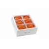 Wirewin SLIM-LS-K6A 2.0 OR 60 Cat.6A U/FTP Slim Ethernet -verkkokaapeli, 2 m, oranssi, 60 kpl:n pakkaus
