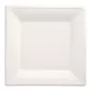 PAPSTAR pure neliömäiset sokeriruokulautaset 260 x 260 mm, 12 kpl:n pakkaus, kompostoituva, mikroaaltouuninkestävä 89755