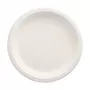 PAPSTAR pure sokeriruokulautanen pyöreä 230 mm 12 kpl:n pakkaus kompostoituva mikroaaltouuninkestävä 89748