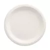 PAPSTAR pure sokeriruokulautanen pyöreä 230 mm 12 kpl:n pakkaus kompostoituva mikroaaltouuninkestävä 89748