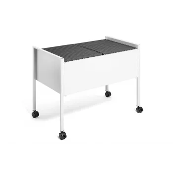 DURABLE Hängeregistraturwagen ECONOMY DUO 100 A4, vaaleanharmaa 308210