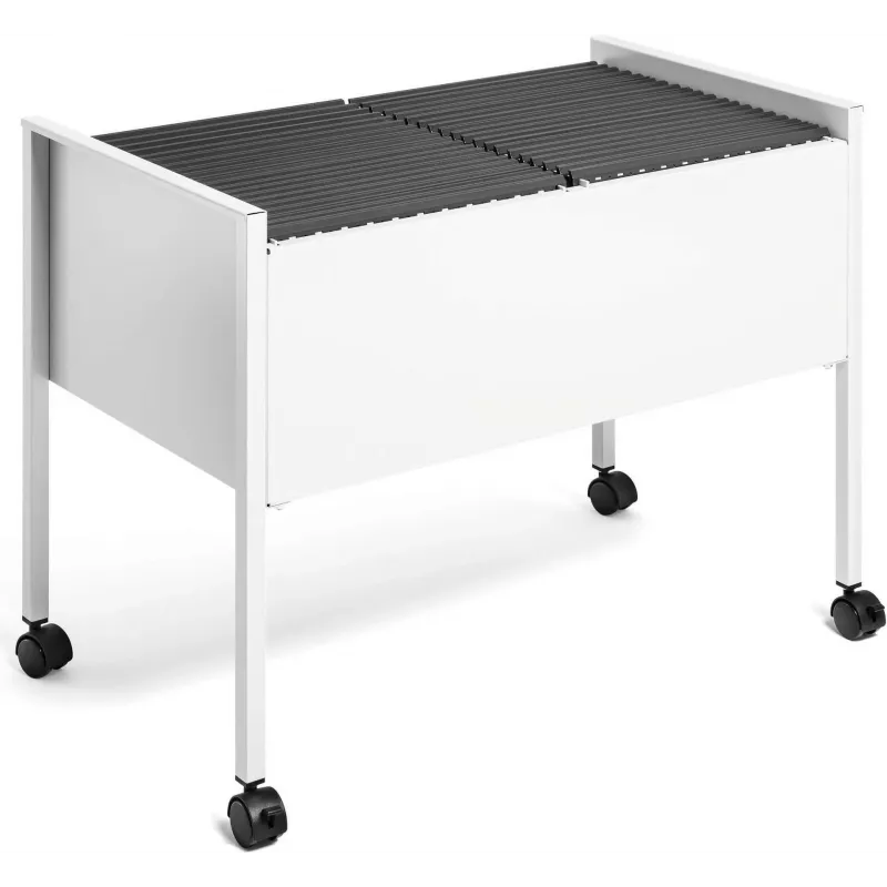 DURABLE Hängeregistraturwagen ECONOMY DUO 100 A4, vaaleanharmaa 308210