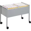 DURABLE Hängeregistraturwagen ECONOMY DUO 100 A4, vaaleanharmaa 308210