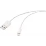 Renkforce USB 2.0 USB-A - Apple Lightning kaapeli 1 m valkoinen matt RF-5724084