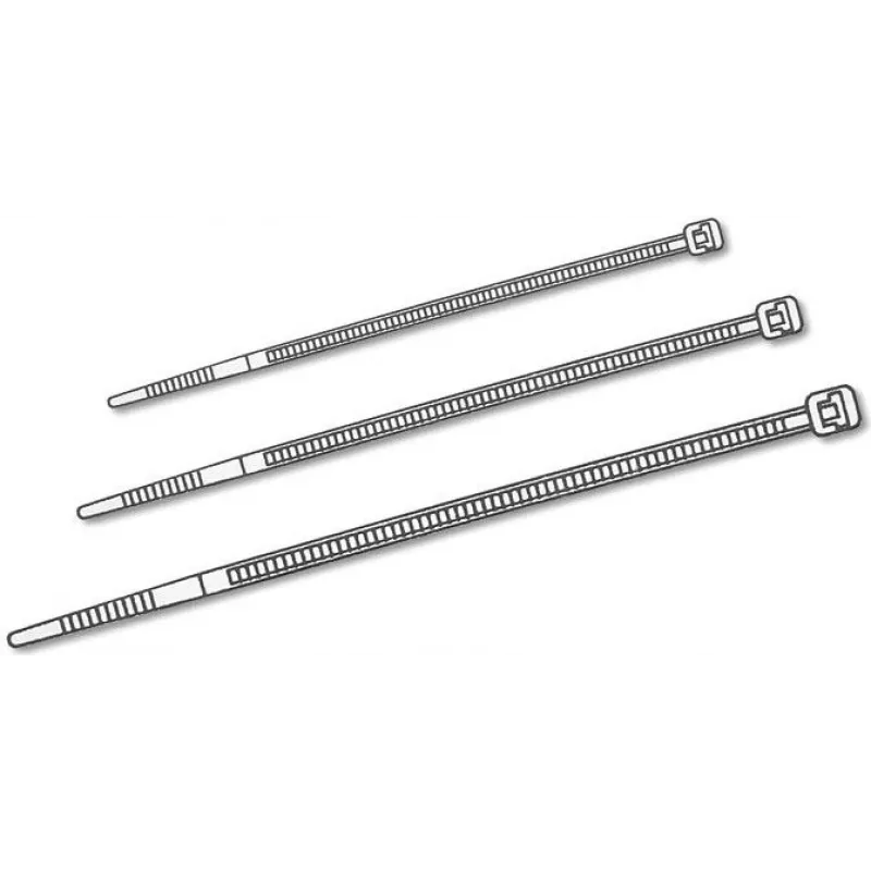 Delock nippuside läpinäkyvä P 200 x L 3,6 mm 100 kpl (18606)