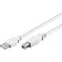 Wentronic 96186 USB 2.0 -kaapeli, USB-A uros - USB-B uros, 1,8 m, valkoinen