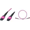 LogiLink FM7LC05 MPO-patchkaapeli, 12 kuitua, multimode OM4 50/125 µm, MPO/PC B/B, tyyppi B, 5 m