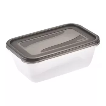 keeeper fredo fresh elintarvikkeiden säilytysastiasarja, 2 x 3,3 l, suorakaiteen muotoinen, läpinäkyvä harmailla kansilla 3068082700000