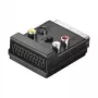 Wentronic AVK 198 SCART 3x RCA/S-Video -sovitin, musta 50312