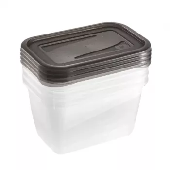 keeeper fredo fresh säilytysastiasarja, 4 x 0,75 L, suorakaiteen muotoinen, läpinäkyvä harmailla kansilla 3067382700000