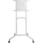 PureLink PureMounts siirrettävä TV-teline, valkoinen (PM-CART-80W)