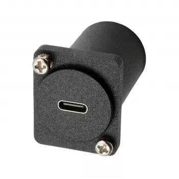 EXSYS EX-49172 D-tyypin sovitin USB-C naaras - DisplayPort naaras