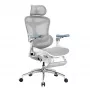 SIHOO DORO C300 Pro Mesh ergonominen toimistotuoli jalkatuella, valkoinen