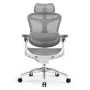 Sihoo DORO C300 Pro ergonominen verkkotoimistotuoli valkoinen