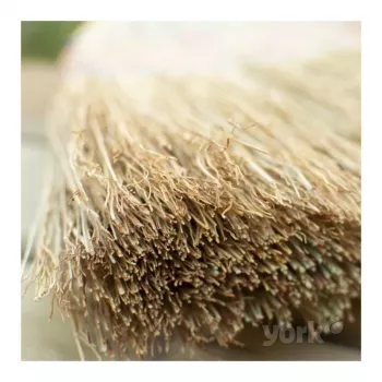YORK yleisluuta lakaisuun 23cm Sorgo Mini