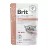 BRIT VD Renal Cat pussi - märkäruoka kissoille - 12x85g