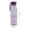 LOCKNLOCK Eco Bottle 550 ml violetti