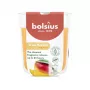 BOLSIUS True Scents Mango tuoksukynttilä lasissa Ø80x73mm
