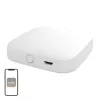 MOES BHUB-W WLAN/Bluetooth Mesh -yhdyskäytävä