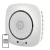 MOES WSS-S-GL Wi-Fi kaasuilmaisin