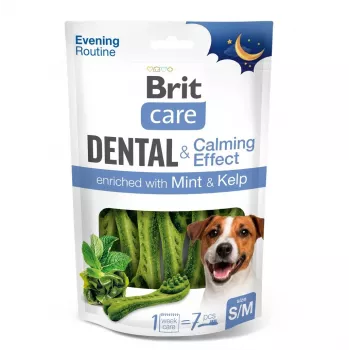 BRIT Dental hammasharja S/M Calming Effect 140g
