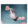 Bose QuietComfort -kuulokkeet pinkki