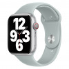 Apple Watch Sport -ranneke 45mm – Succulent