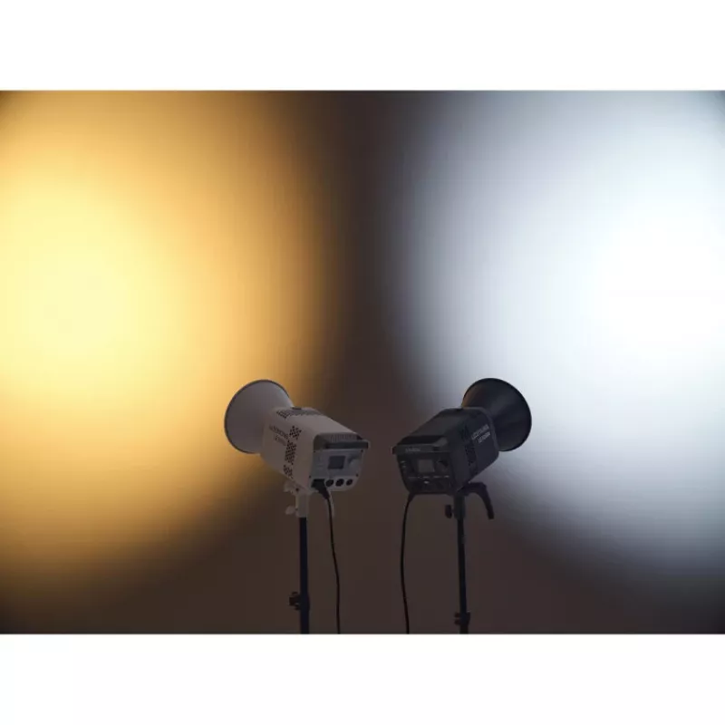 Godox Litemons LE300Bi LED-valaisin Bi-Color valkoinen