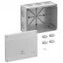 Spelsberg Abox Pro 250-L jakorasia, IP66/IP67/IP69, 42540001