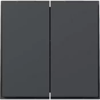 Gira TX44 keinupainike 2-osainen suora, antrasiitti, 349567