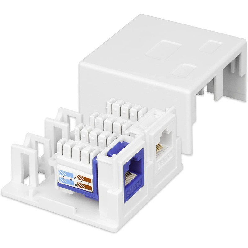 Techly 366310 pinta-asennusrasia 2 Keystone-moduulille RJ45 tai RJ11/12