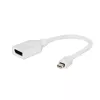 Gembird Mini DisplayPort–DisplayPort-sovitin, valkoinen