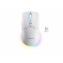 Lenovo Legion M220 RGB langaton pelihiiri, 2,4 GHz / Bluetooth / johdollinen, jäänvalkoinen (GY51V60437)