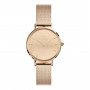 Daniel Wellington DW00100795 naisten kello, 28 mm