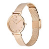 Daniel Wellington DW00100795 naisten kello, 28 mm