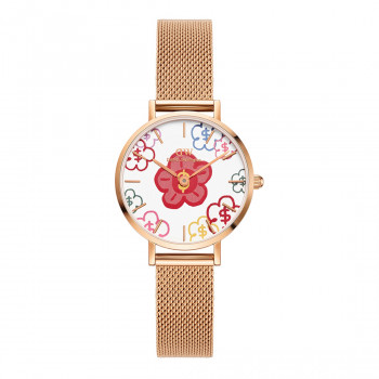 Daniel Wellington DW00100722 naisten kello, 36 mm