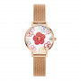 Daniel Wellington DW00100722 naisten kello, 36 mm