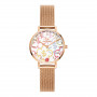 Daniel Wellington DW00100723 naisten kello, 28 mm